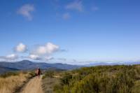 Camino de Santiago Francés